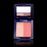 Colorete iluminador THE ONE